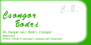csongor bodri business card